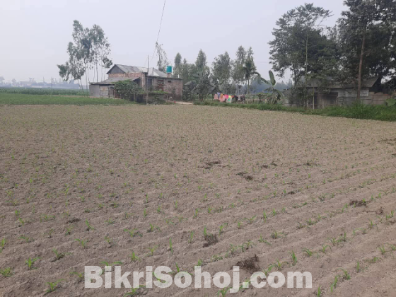 জমি